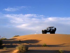 On the dunes At Anthony Gap